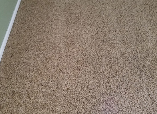 CarpetCleaning res