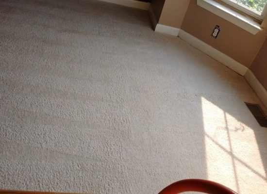 carpet cleaning service montgomery county md